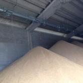 IMG-20141114-WA0002.jpg